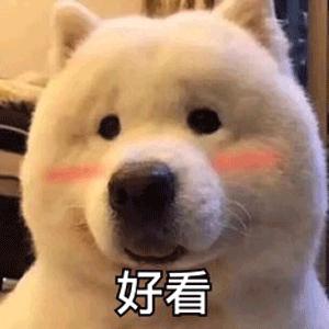 DƬ